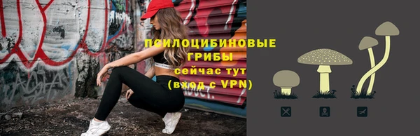 прущие грибы Алексеевка