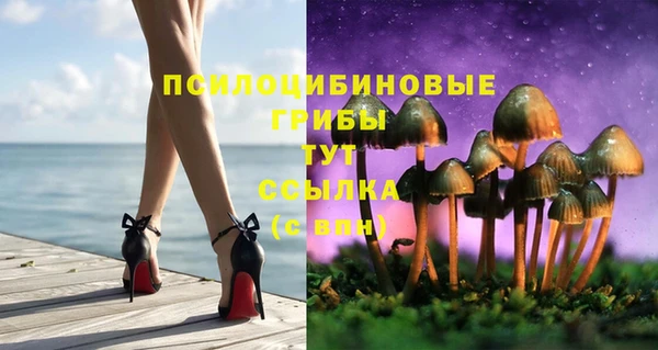 СК Абаза