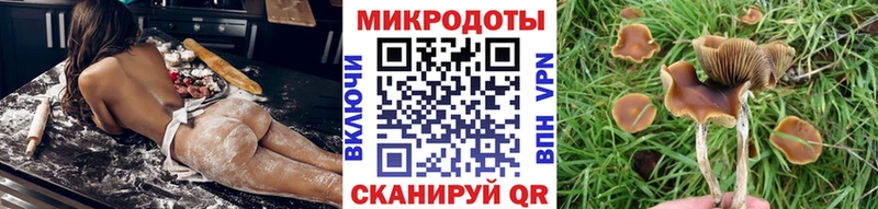Псилоцибиновые грибы мухоморы Харабали